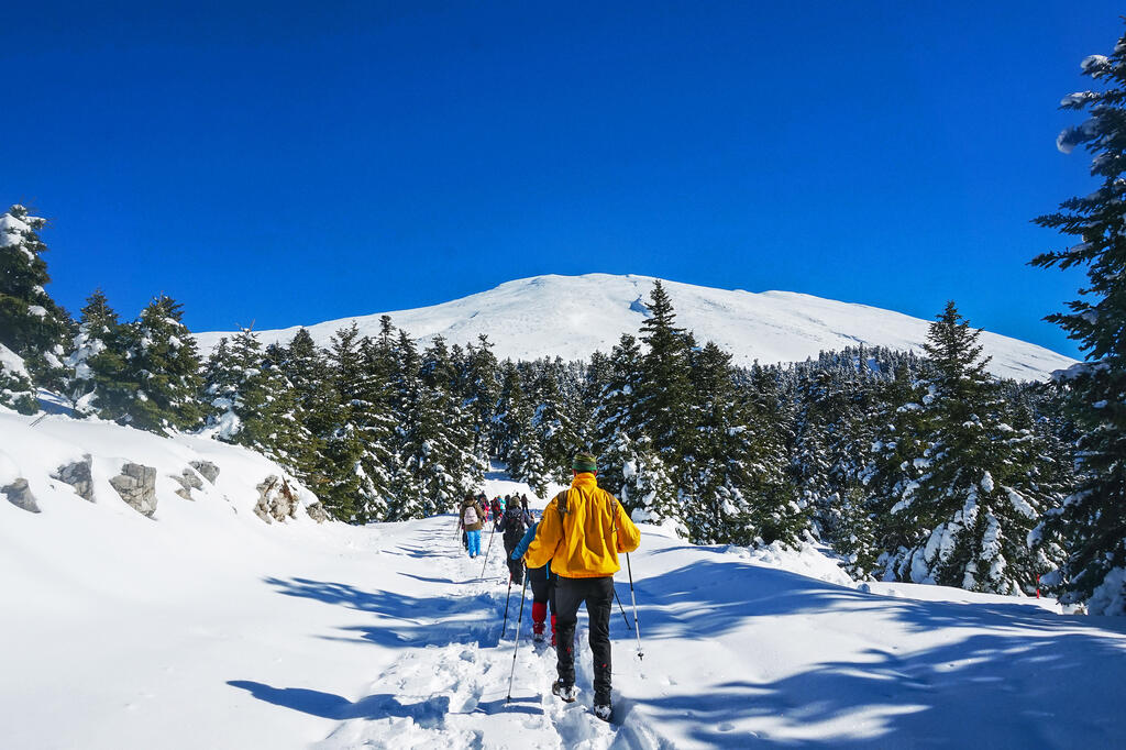 A team of cross-country skiers