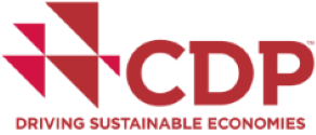Image_CDP logo