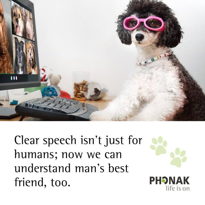 c24437_facebook_287632132159225_1272340951209999